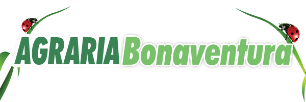 Agraria Bonaventura a Napola (Erice)